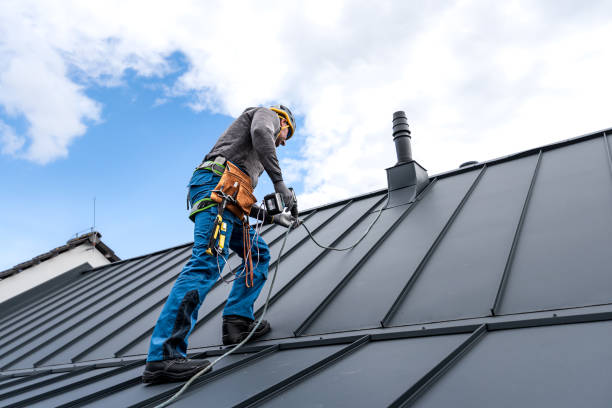Best Roof Ventilation Installation  in Cheviot, OH